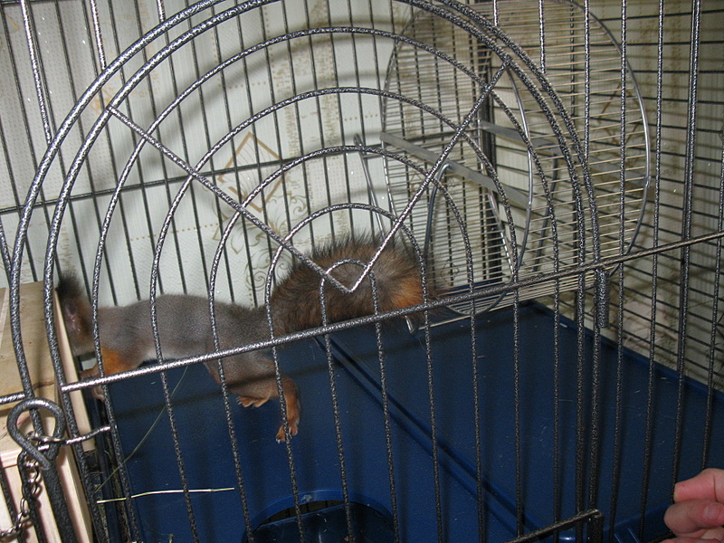 click for enlarge 1920 X 1440 314.5 Kb picture