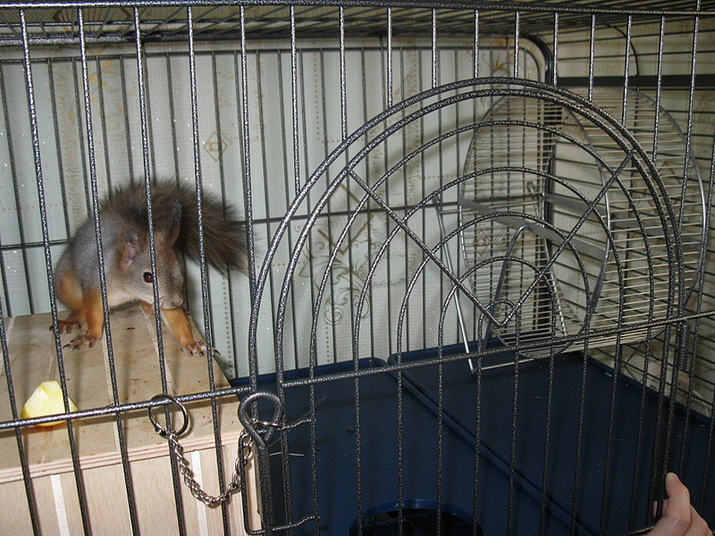 click for enlarge 1920 X 1440 326.2 Kb picture