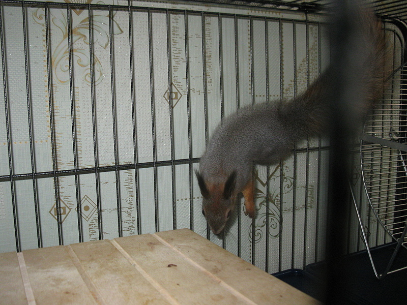 click for enlarge 1920 X 1440 258.9 Kb picture