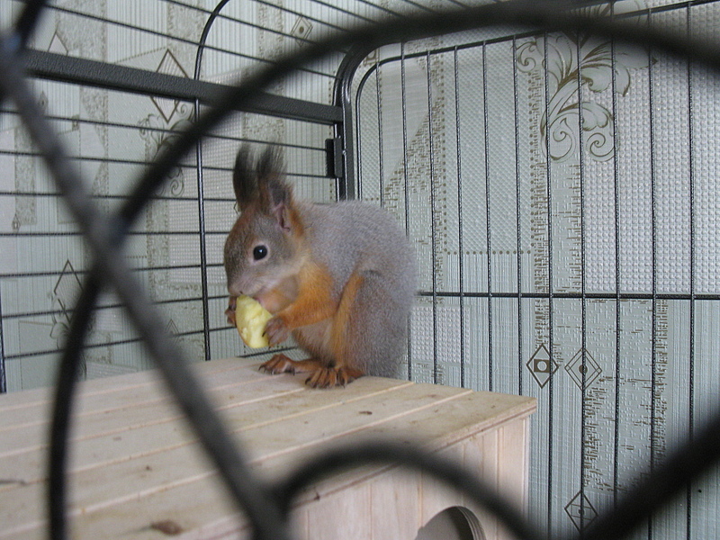 click for enlarge 1920 X 1440 248.1 Kb picture