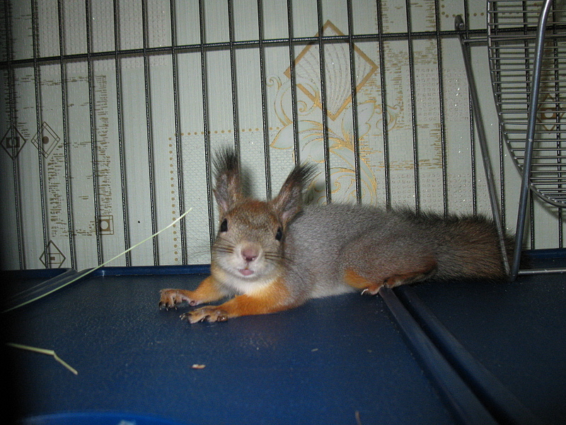 click for enlarge 1920 X 1440 252.9 Kb picture