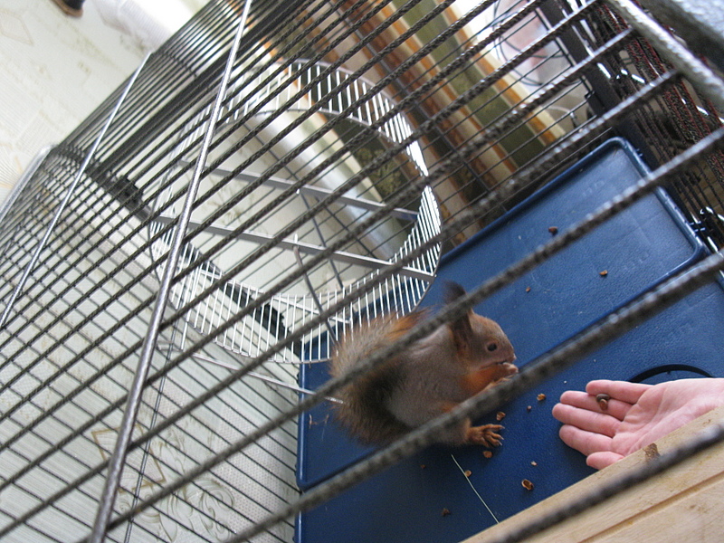 click for enlarge 1920 X 1440 280.3 Kb picture