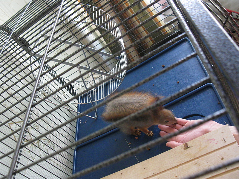 click for enlarge 1920 X 1440 334.7 Kb picture