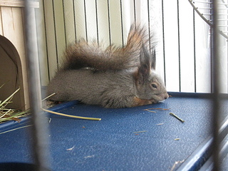 click for enlarge 1920 X 1440 246.0 Kb picture