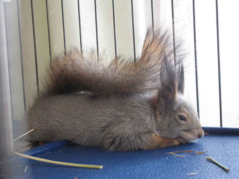 click for enlarge 1920 X 1440 260.8 Kb picture