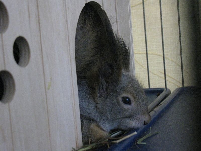 click for enlarge 1920 X 1440 194.7 Kb picture