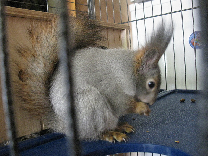 click for enlarge 1920 X 1440 243.4 Kb picture