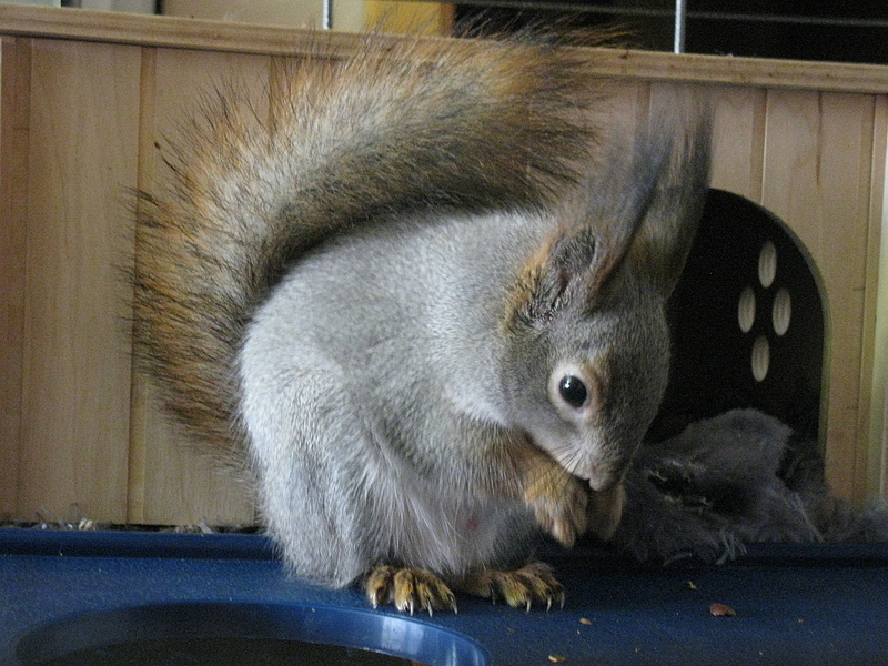 click for enlarge 1920 X 1440 252.4 Kb picture