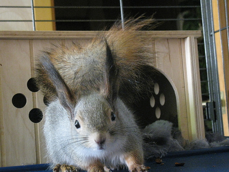 click for enlarge 1920 X 1440 268.7 Kb picture