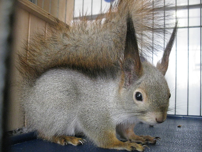 click for enlarge 1920 X 1440 294.1 Kb picture