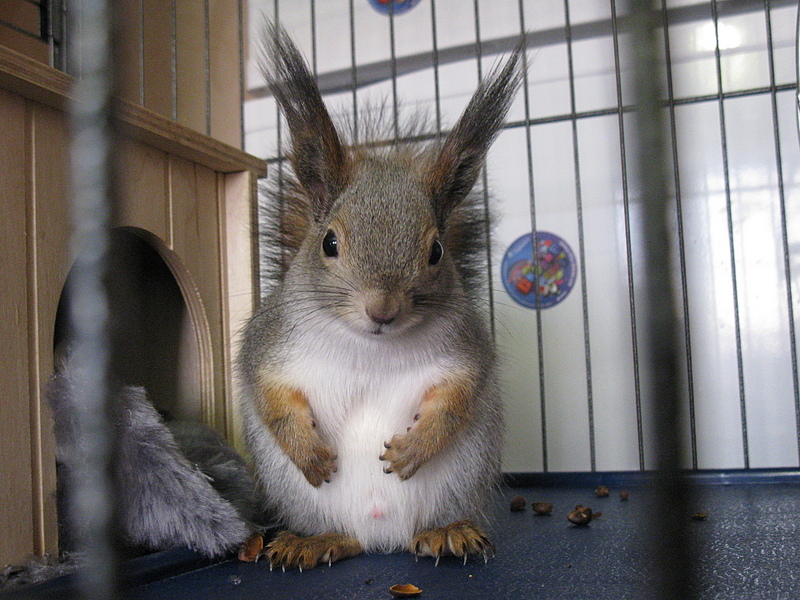 click for enlarge 1920 X 1440 229.7 Kb picture