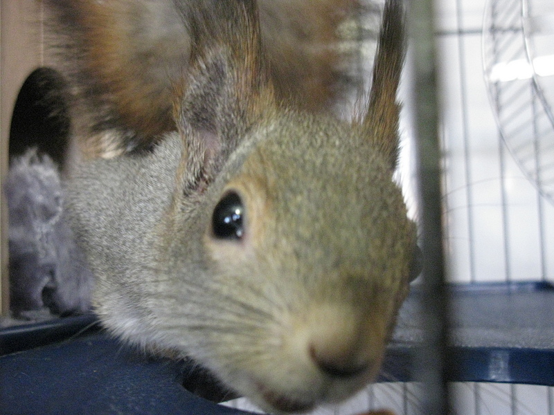 click for enlarge 1920 X 1440 197.9 Kb picture