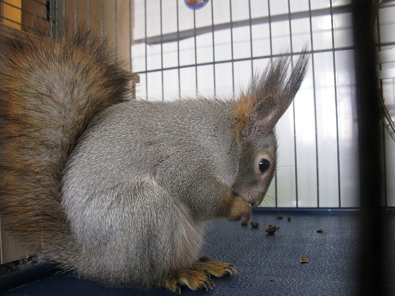 click for enlarge 1920 X 1440 279.4 Kb picture