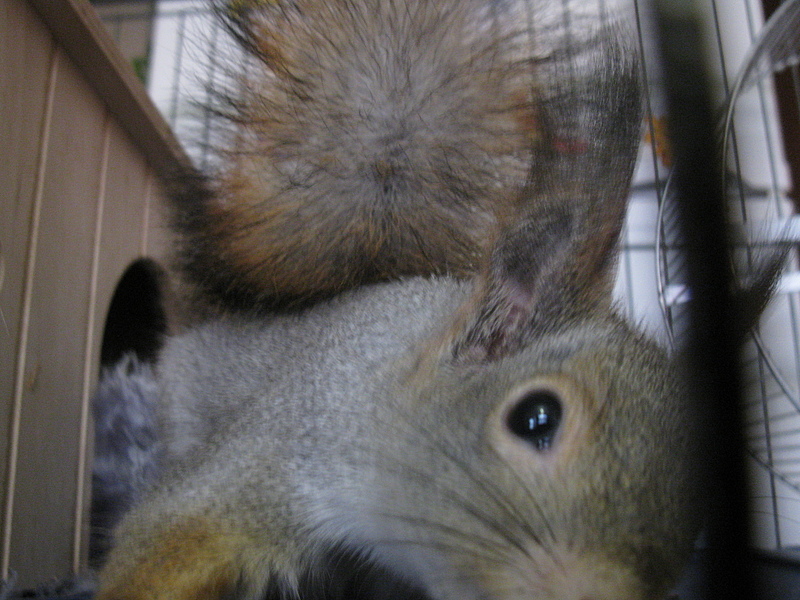 click for enlarge 1920 X 1440 180.8 Kb picture