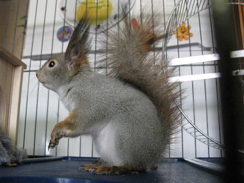 click for enlarge 1920 X 1440 245.5 Kb picture