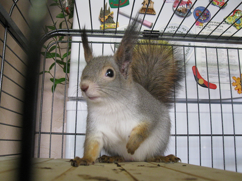 click for enlarge 1920 X 1440 244.4 Kb picture