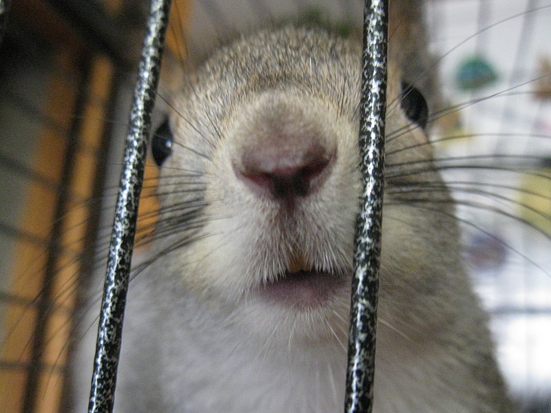 click for enlarge 1920 X 1440 221.5 Kb picture