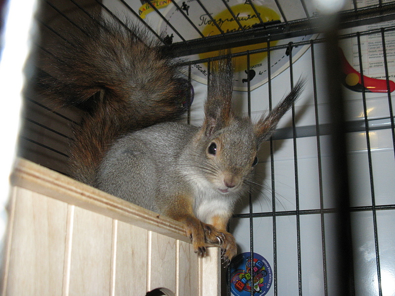 click for enlarge 1920 X 1440 222.9 Kb picture