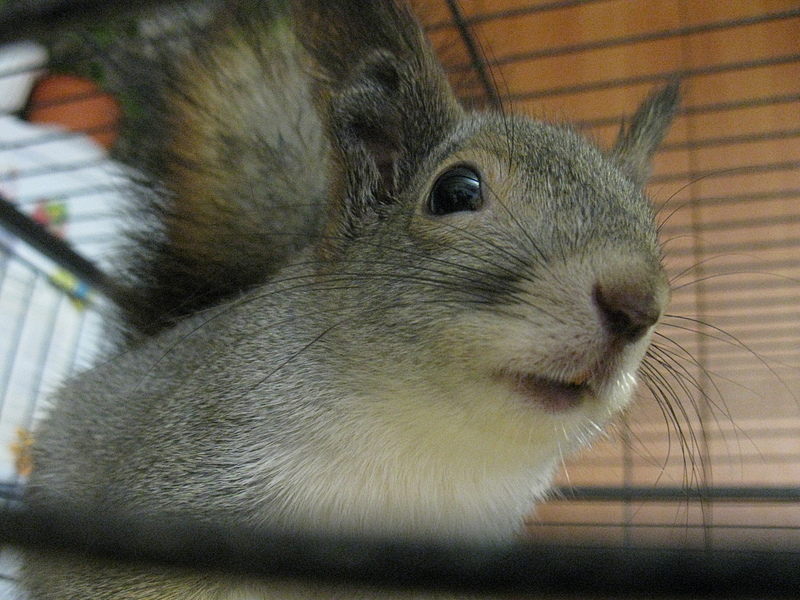 click for enlarge 1920 X 1440 252.2 Kb picture