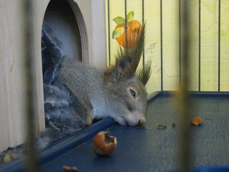 click for enlarge 1920 X 1440 238.6 Kb picture