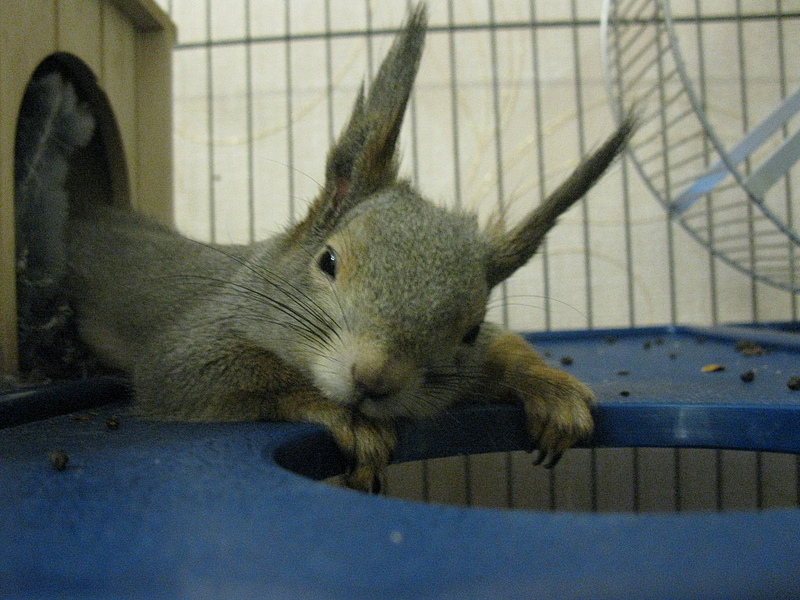 click for enlarge 1920 X 1440 228.2 Kb picture