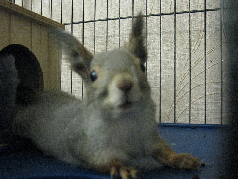 click for enlarge 1920 X 1440 271.9 Kb picture