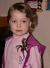 click for enlarge 1920 X 2617 345.7 Kb picture