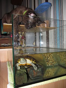 click for enlarge 1063 X 1417 321.5 Kb picture