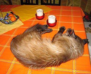 click for enlarge 800 X 650 581.6 Kb picture