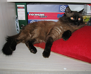 click for enlarge 800 X 650 436.1 Kb picture