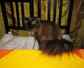 click for enlarge 800 X 650 469.7 Kb picture