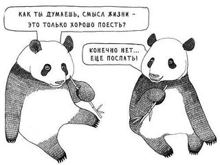 click for enlarge 500 X 375 37.5 Kb picture