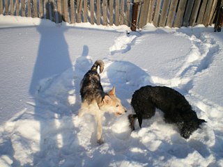 click for enlarge 1280 X 960 161.8 Kb picture