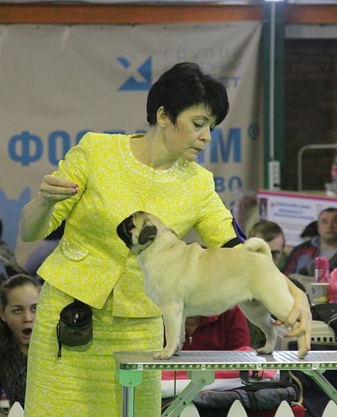 click for enlarge 647 X 800 401.9 Kb picture