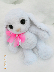 click for enlarge 1920 X 2560 201.6 Kb picture
