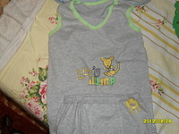 click for enlarge 1024 X 768 592.8 Kb picture