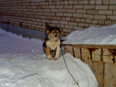 click for enlarge 1366 X 1023 786.1 Kb picture