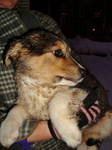 click for enlarge 768 X 1024 529.1 Kb picture