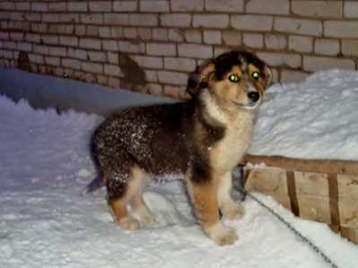 click for enlarge 1366 X 1023 654.9 Kb picture