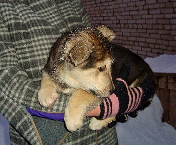 click for enlarge 931 X 768 514.3 Kb picture