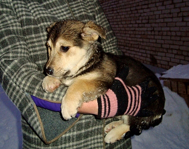 click for enlarge 969 X 768 495.5 Kb picture