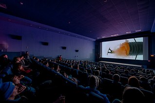 click for enlarge 1000 X 665  88.0 Kb picture