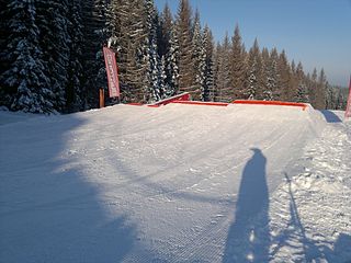 click for enlarge 1920 X 1440 498.4 Kb picture