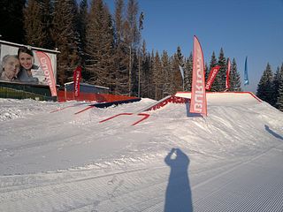 click for enlarge 1920 X 1440 502.1 Kb picture