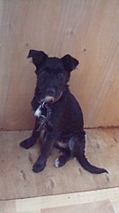 click for enlarge 576 X 1024  84.7 Kb picture