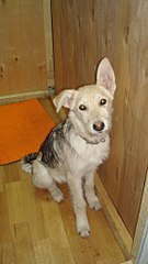 click for enlarge 576 X 1024  88.0 Kb picture