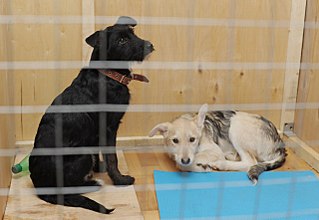 click for enlarge 1280 X 882 129.2 Kb picture