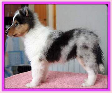 click for enlarge 600 X 499 32.7 Kb picture