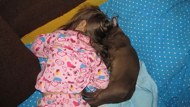 click for enlarge 1200 X 675 305.8 Kb picture