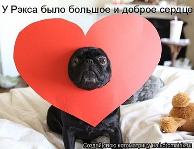 click for enlarge 480 X 368 38.7 Kb picture